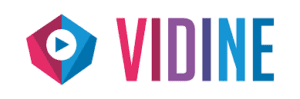 Read more about the article Vidine Review