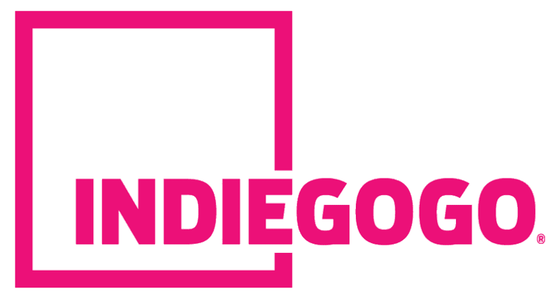 Read more about the article Mastering the Steps to a Winning Indiegogo Campaign