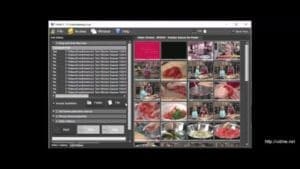 Read more about the article Vidine video clip manager software review