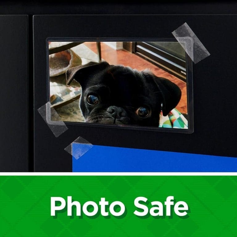 A black pug looking through an opening in a photo safe book, with visible adhesive tape on the plastic cover.